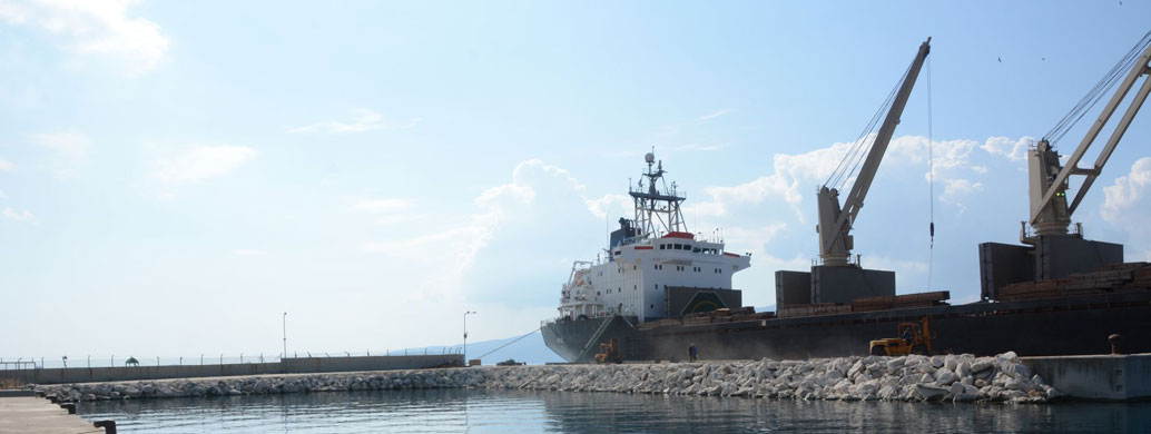 Isthmia Logistics